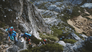 Hikers traversing a scenic mountain trail in 2025