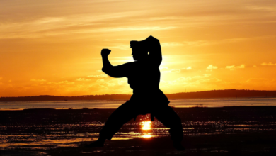 Daniel LaRusso and Johnny Lawrence face off in the Cobra Kai series finale.