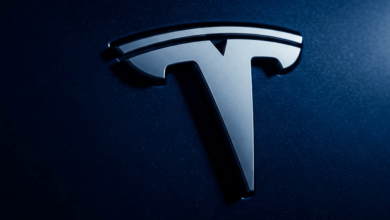 Tesla Stock Decline
