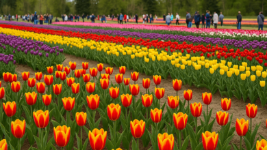 Visitors enjoying spring events in Chilliwack 2025