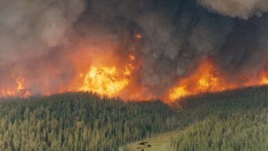 Manitoba Wildfires: What’s Happening and Why a State of Emergency Was Declared