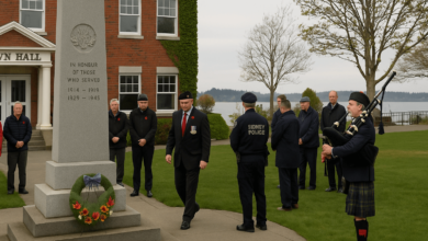 Sidney cenotaph during 80th V-E Day tribute