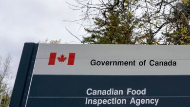 Recalled Canadian sauces linked to 2025 health warnings