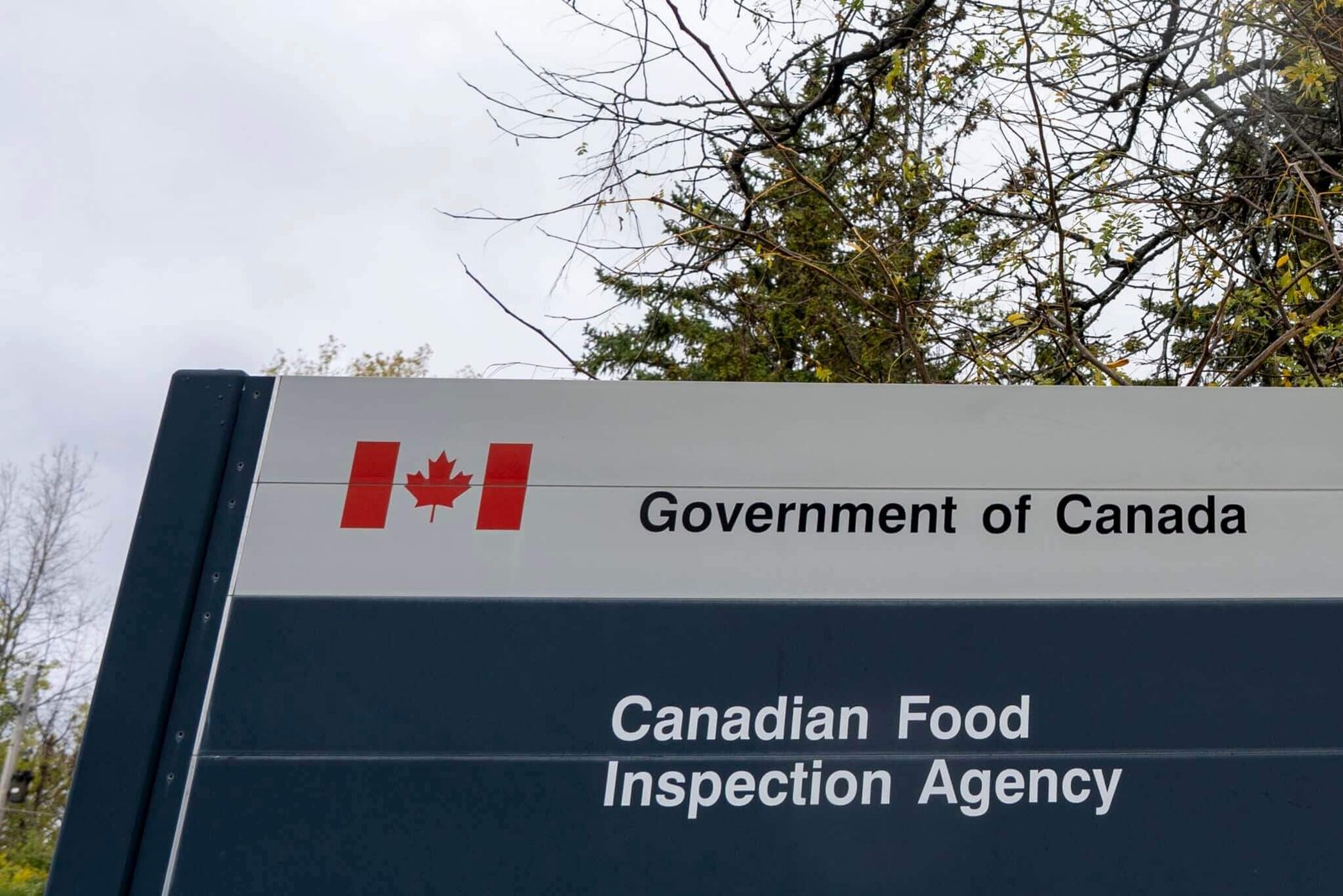 Recalled Canadian sauces linked to 2025 health warnings