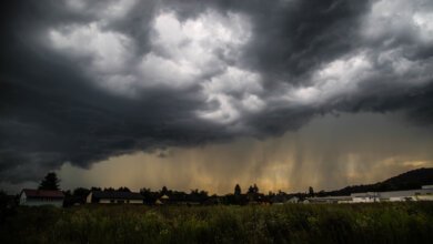 Severe Thunderstorm Alert Issued: What You Need to Know to Stay Safe