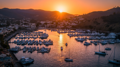 Aerial view of Avalon Harbor at sunset with boats docked and Catalina's hills in the background