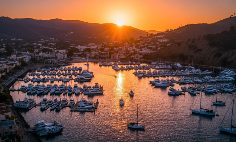 Aerial view of Avalon Harbor at sunset with boats docked and Catalina's hills in the background