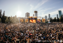 Large crowd enjoying live EDM performance at FVDED in the Park 2025 in Holland Park, Surrey