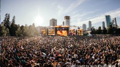 Large crowd enjoying live EDM performance at FVDED in the Park 2025 in Holland Park, Surrey