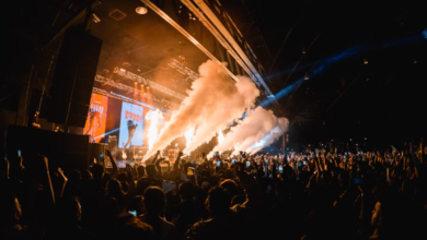 Crowd enjoying a live concert with smoke effects and dynamic lighting, capturing the energy of top upcoming events & festivals.