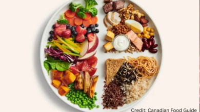 Balanced plate following the Canadian Food Guide with vegetables, grains, and plant-based protein