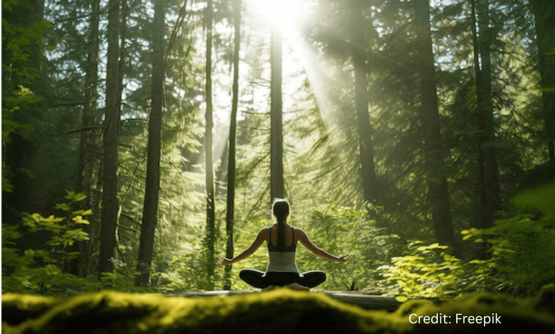Woman meditating on a moss-covered log in a dense Canadian forest with sunlight filtering through the trees