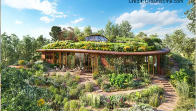 A lush Canadian backyard food forest featuring fruit trees, herbs, berry bushes, and raised garden beds during summer