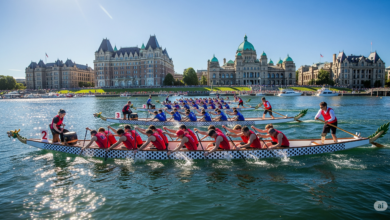 Dragon boat teams paddling vigorously across Victoria’s Inner Harbour during the annual Dragon Boat Festival under clear sunny skies.
