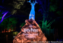 Harry Potter Forbidden Forest Experience Vancouver illuminated entrance sign with a glowing stag statue at night