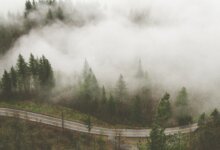 Hazy forest and road in the Fraser Valley affected by wildfire smoke in British Columbia.