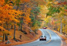 BC driver fall checklist: Car driving on an autumn road
