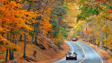 BC driver fall checklist: Car driving on an autumn road