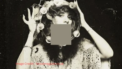 Stevie Nicks performing live, symbolizing her return with the 'Ghost Record' album in 2025