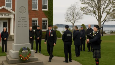 Sidney cenotaph during 80th V-E Day tribute