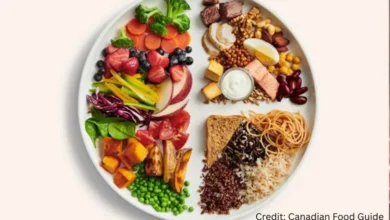 Balanced plate following the Canadian Food Guide with vegetables, grains, and plant-based protein