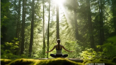 Woman meditating on a moss-covered log in a dense Canadian forest with sunlight filtering through the trees