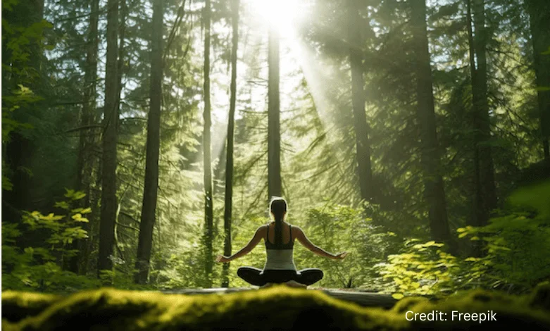 Woman meditating on a moss-covered log in a dense Canadian forest with sunlight filtering through the trees