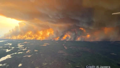 Aerial view of a massive Canadian wildfire in 2025, with thick smoke clouds rising above dense forest and flames visible on the ground.