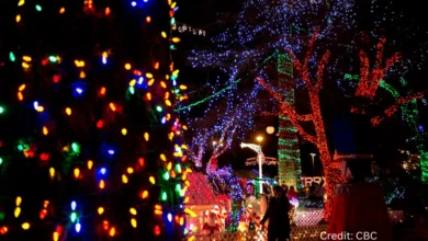 Bright Nights Surrey festival lights glowing over Cloverdale Fairgrounds during the Noel Holiday Light Festival