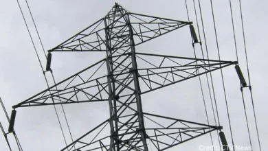 Squirrel perched on a high-voltage power line causing a power outage in New Westminster