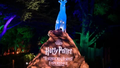 Harry Potter Forbidden Forest Experience Vancouver illuminated entrance sign with a glowing stag statue at night