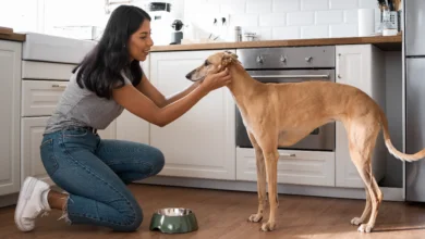 Dogs Should Be Raw and Living discussion featuring a dog owner supporting healthy canine nutrition and pet wellness