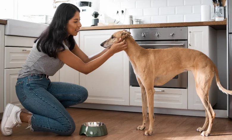 Dogs Should Be Raw and Living discussion featuring a dog owner supporting healthy canine nutrition and pet wellness
