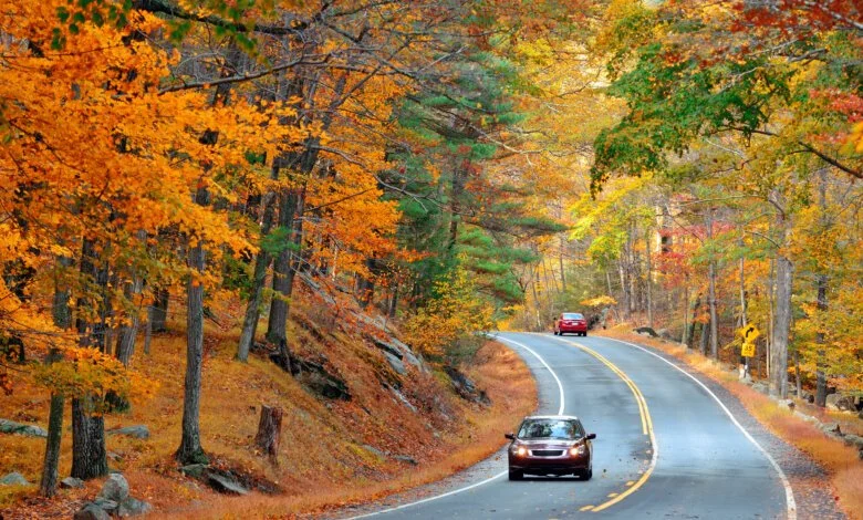 BC driver fall checklist: Car driving on an autumn road
